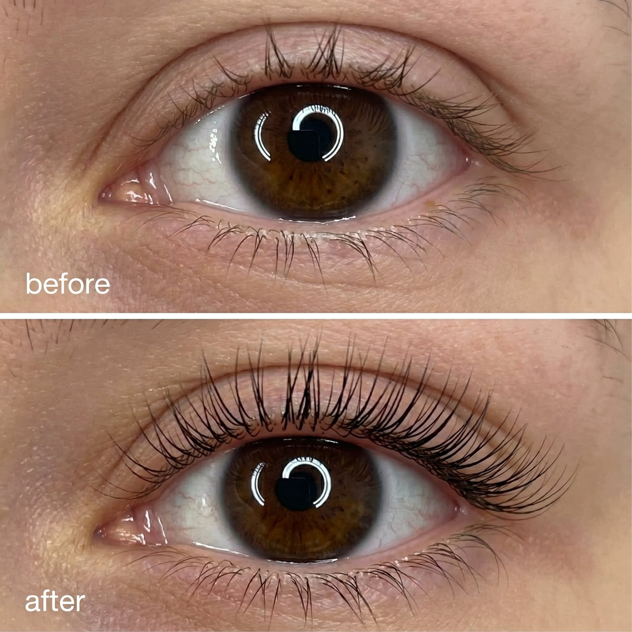Lash Growth Serum