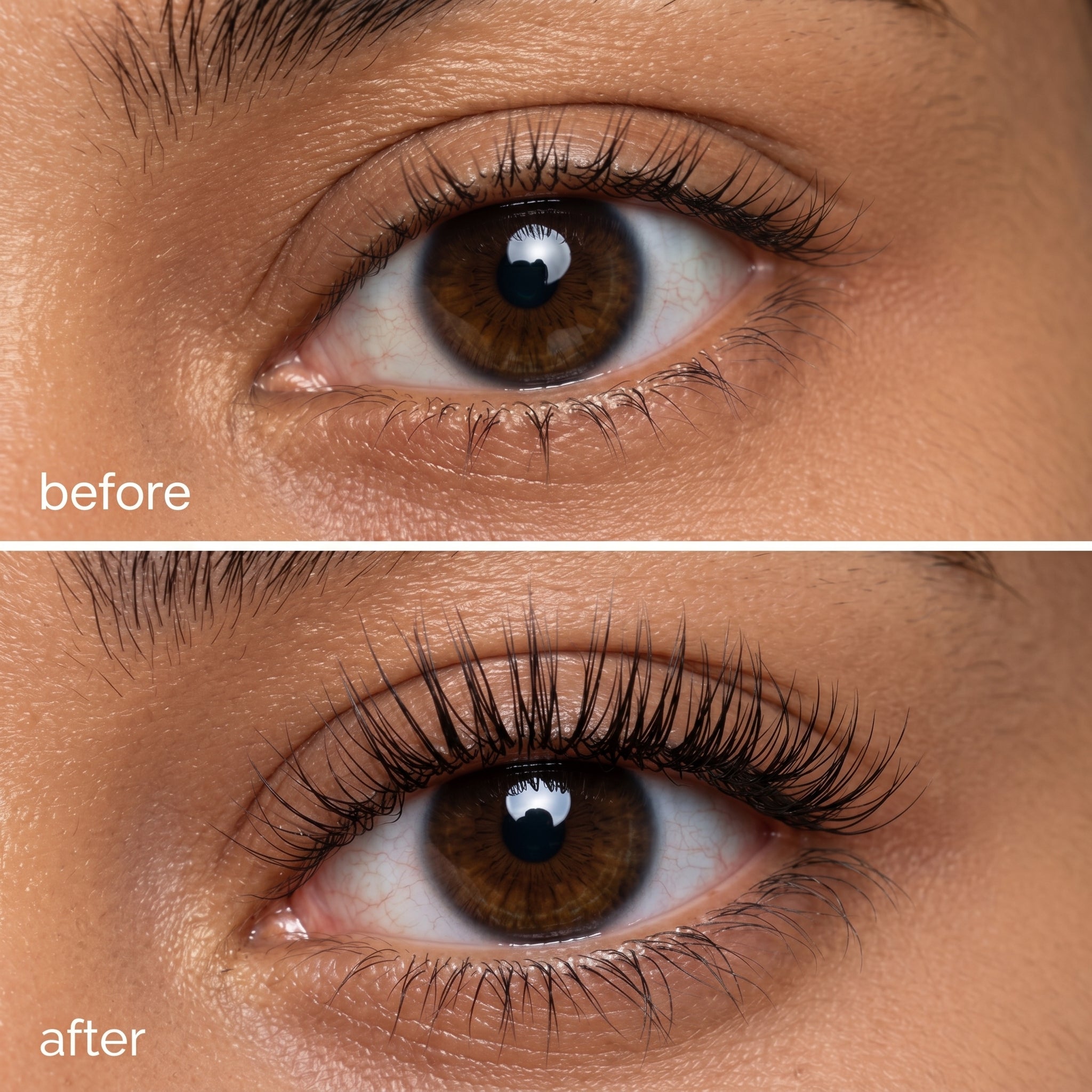 Lash Growth Serum